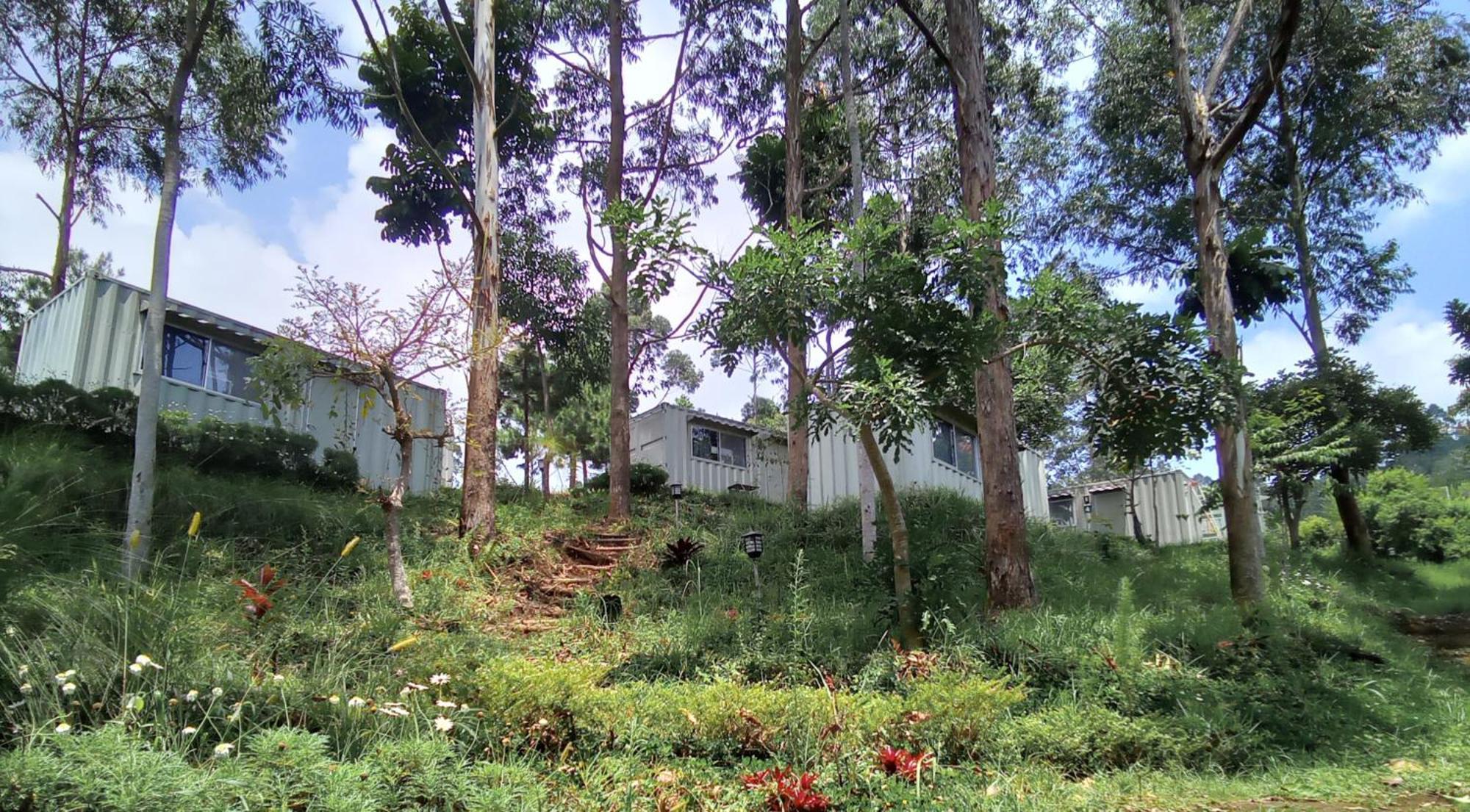 Hotel Bukit Pinus Tegalharendong Zewnętrze zdjęcie
